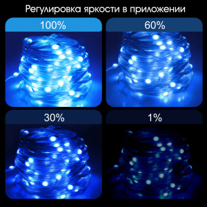 Умная светодиодная гирлянда 10 метров Bluetooth Огонёк OG-LDG19