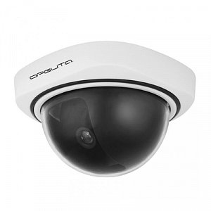 Орбита OT-VNP09 муляж видеокамеры