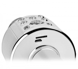 HOCO BK3 Серебро Микрофон (Bluetooth, динамики, USB)