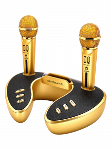 Орбита OT-ERM09 Золото Караоке система (2 микр, Bluetooth 5.0)