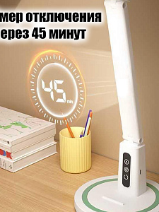 Лампа настольная для школьника с таймером Огонёк OG-LDP41A
