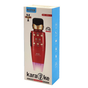 WSTER WS-2011 Зеленый микрофон беспроводной (Bluetooth, динамики, USB)