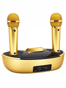 Орбита OT-ERM09 Золото Караоке система (2 микр, Bluetooth 5.0)