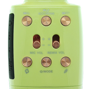 WSTER WS-2011 Зеленый микрофон беспроводной (Bluetooth, динамики, USB)