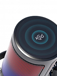 Микрофон для компьютера игровой для стрима Орбита OT-PCS08