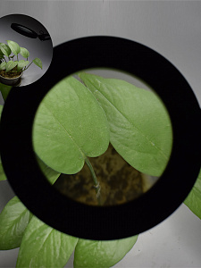 Лампа настольная с лупой и подсветкой для работы 10х Орбита OT-INL88 Черная