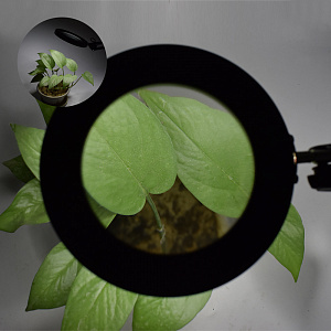 Лампа настольная с лупой и подсветкой для работы 10х Орбита OT-INL88 Черная