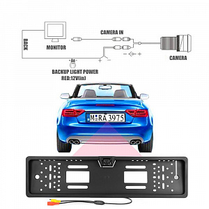 TDS TS-CAV11 рамка для номера с камерой (420ТВЛ, 12В)