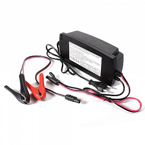 Орбита EP12M248 ЗУ для аккум. с крокодилами (12В, 8А)