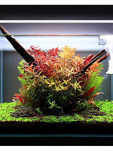 Светильник лампа для аквариума светодиодная ТЕПЛАЯ ЖЕЛТАЯ Огонек OG-LDP25