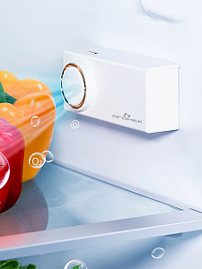 Поглотитель, нейтрализатор запаха для холодильника, авто, шкафа Огонек OG-HOG0