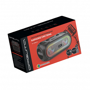 Орбита OT-ERM14 Черная караоке система с RGB подсветкой (2 микр, Bluetooth 5.0)