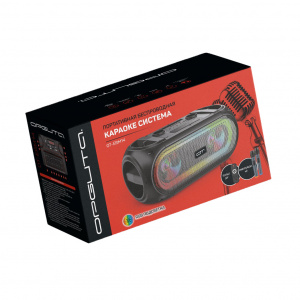 Орбита OT-ERM14 Черная караоке система с RGB подсветкой (2 микр, Bluetooth 5.0)