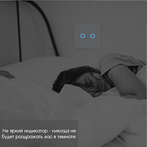 Умный выключатель с Алисой двухклавишный Wi-Fi 10A Орбита OT-HOS12