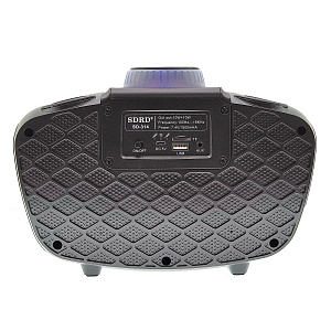 SDRD SD-314 Черная Караоке система (2 микр, Bluetooth 4.2)