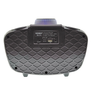 SDRD SD-314 Черная Караоке система (2 микр, Bluetooth 4.2)