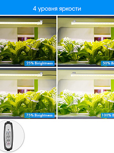 Фитолампа для растений с таймером накладная Огонек OG-LDP17