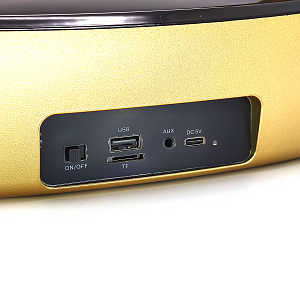 Орбита OT-ERM09 Золото Караоке система (2 микр, Bluetooth 5.0)