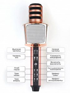 SDRD SD-17 Микрофон (Bluetooth, динамики, USB)