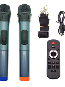 Орбита OT-ERM14 Черная караоке система с RGB подсветкой (2 микр, Bluetooth 5.0)