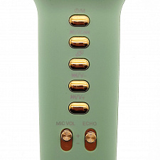 WSTER WS-900 Камуфляж микрофон беспроводной (Bluetooth, динамики, USB)