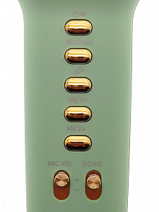 WSTER WS-900 Камуфляж микрофон беспроводной (Bluetooth, динамики, USB)