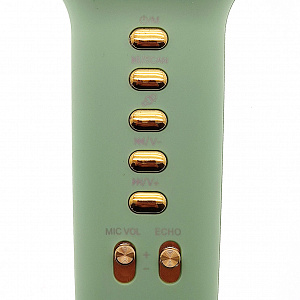 WSTER WS-900 Камуфляж микрофон беспроводной (Bluetooth, динамики, USB)