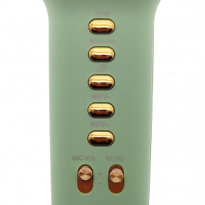 WSTER WS-900 Камуфляж микрофон беспроводной (Bluetooth, динамики, USB)