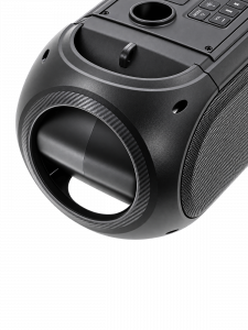 Орбита OT-ERM14 Черная караоке система с RGB подсветкой (2 микр, Bluetooth 5.0)