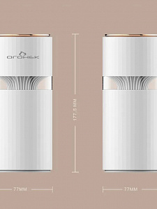 Увлажнитель воздуха для дома настольный с подсветкой Огонёк OG-HOM04 Красный/золото