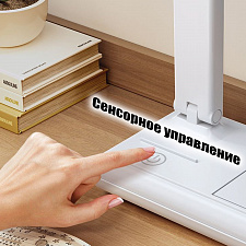 Лампа настольная для школьника с органайзером Огонёк OG-LDP40B