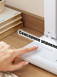 Лампа настольная для школьника с органайзером Огонёк OG-LDP40B