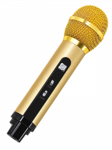Орбита OT-ERM08 Черная Караоке система (1 микр, Bluetooth 4.2)