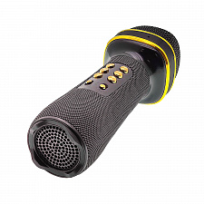 WSTER WS-898 Черный микрофон беспроводной (Bluetooth, динамики, USB)