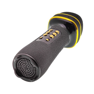 WSTER WS-898 Черный микрофон беспроводной (Bluetooth, динамики, USB)