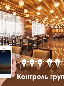 Умная светодиодная лампочка RGBCW E27 с Алисой Wi-Fi Орбита OT-HOS16