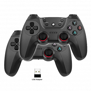 Геймпады беспроводные набор джойстиков 2шт для ПК Орбита OT-PCG19