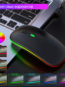 Мышь беспроводная бесшумная с подсветкой 2 в 1 Орбита OT-PCM66 Черная